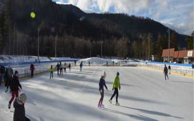 Wyjście na lodowisko